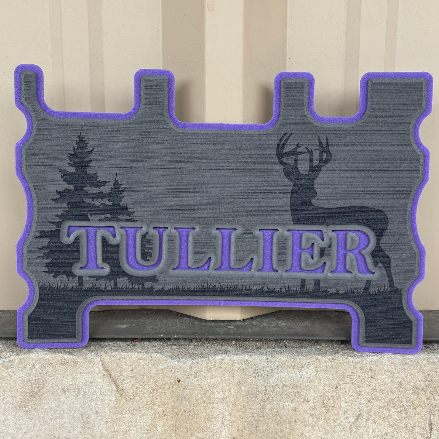 "Money Shot" - Custom Speaker Shell for Turtlebox or Ecoxgear Defender