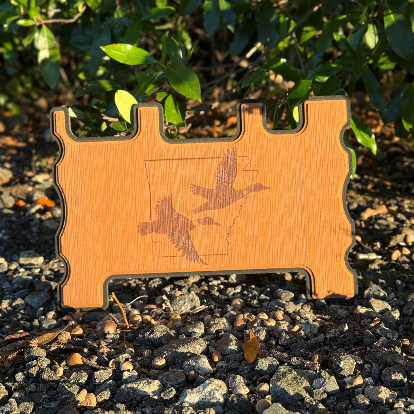 "FLY OUT - PICK YOUR STATE" - Custom Speaker Shell for Turtlebox or Ecoxgear Defender