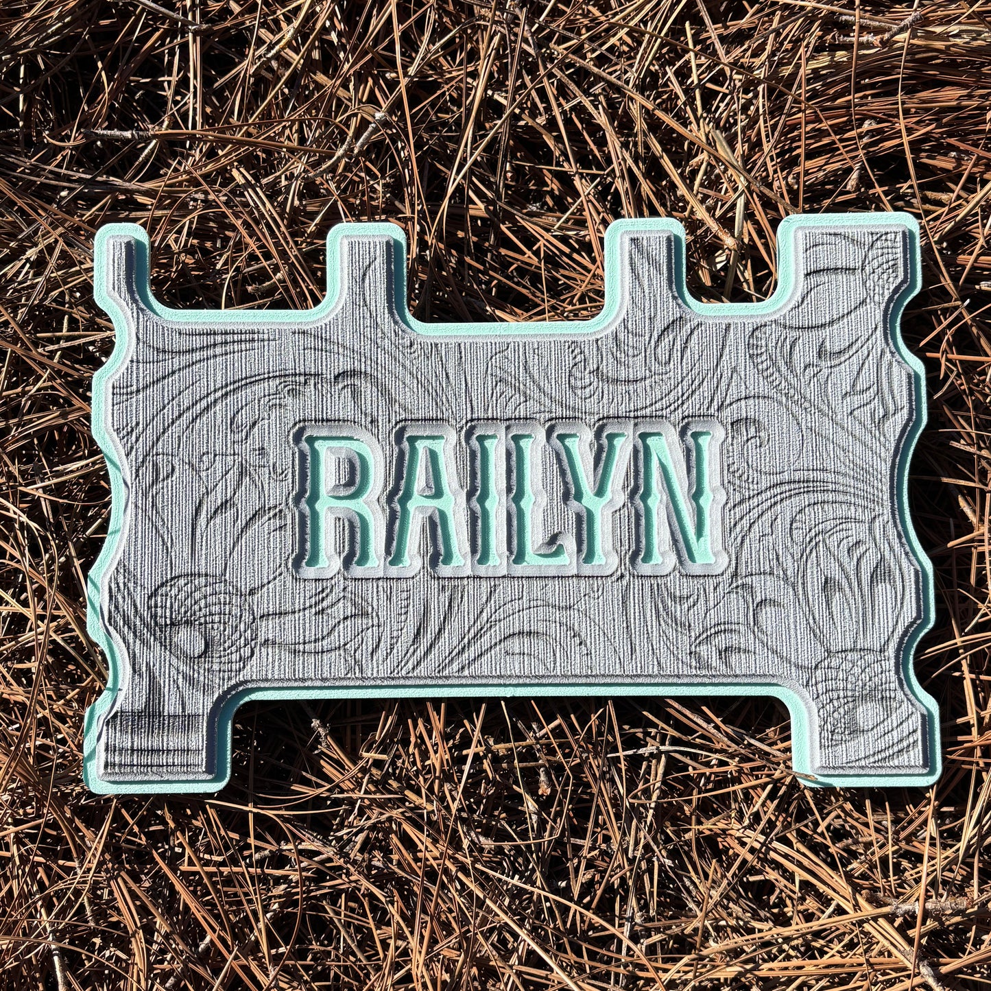 "OUTLAW" - Custom Speaker Shell for Turtlebox or Ecoxgear Defender