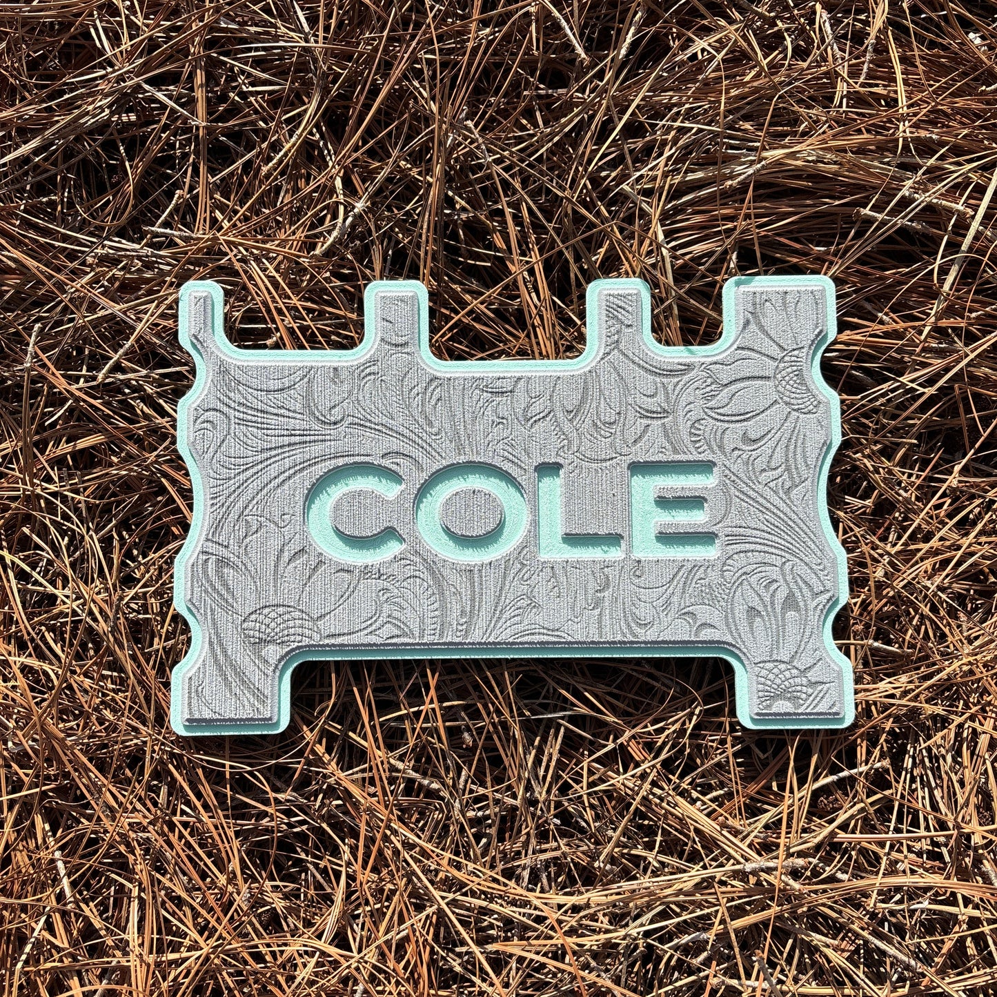 "OUTLAW" - Custom Speaker Shell for Turtlebox or Ecoxgear Defender