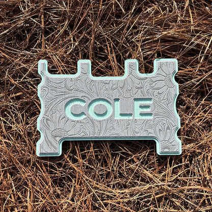 "OUTLAW" - Custom Speaker Shell for Turtlebox or Ecoxgear Defender