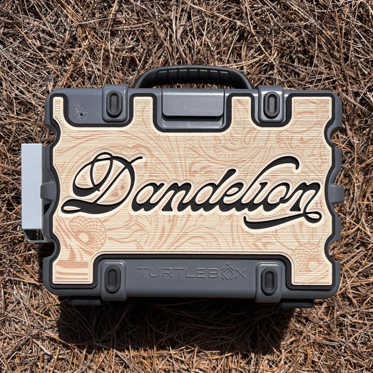 "YOUR LOGO" - Custom Speaker Shell for Turtlebox or Ecoxgear Defender